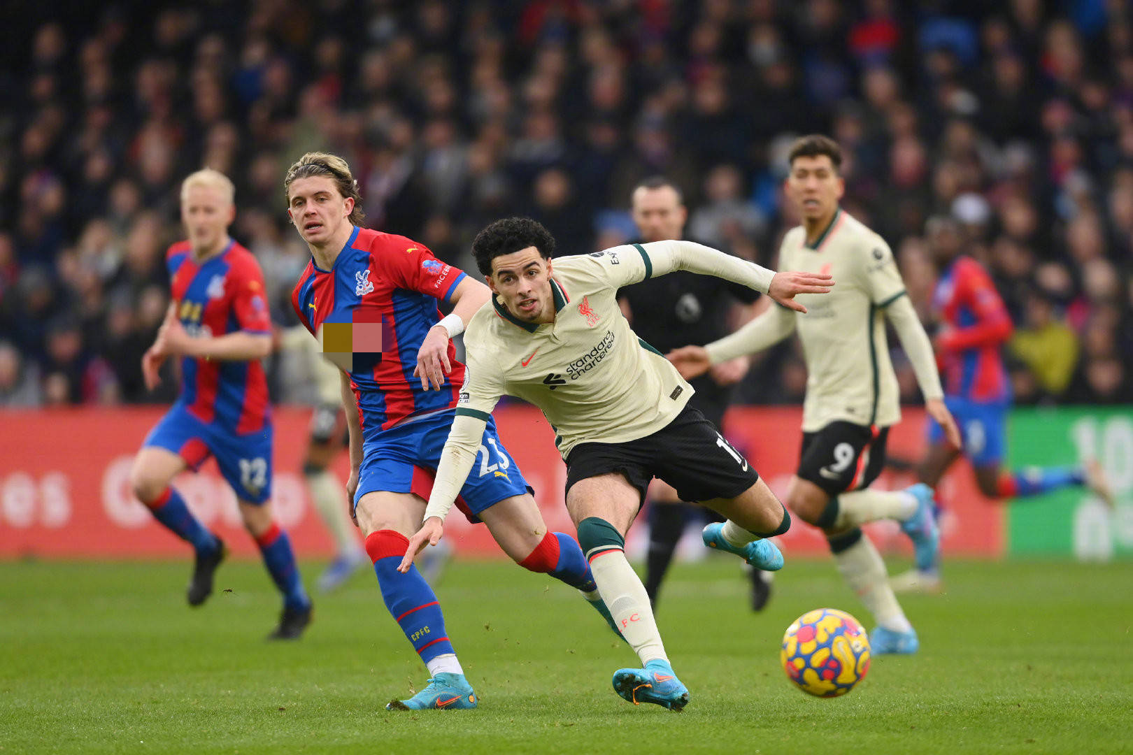 精神家园 精神家园